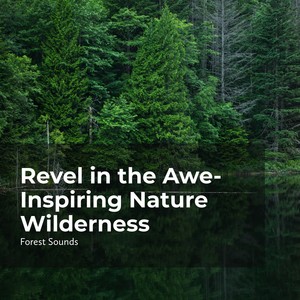 Revel in the Awe-Inspiring Nature Wilderness