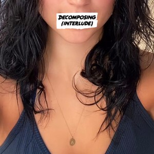 Decomposing(interlude)