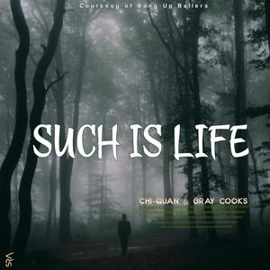 Such is life (Explicit)