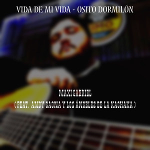 Vida de Mi Vida - Osito Dormilón