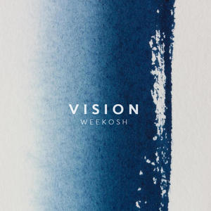 VISION