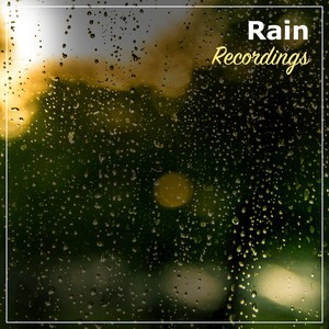 17 New Rain Recordings Zen Music, Nature, White Noise