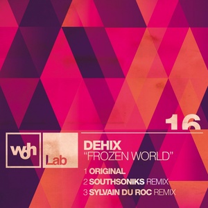 Frozen World (Sylvain Du Roc Remix)
