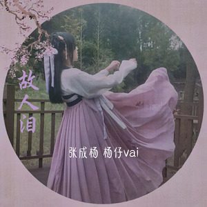 故人泪