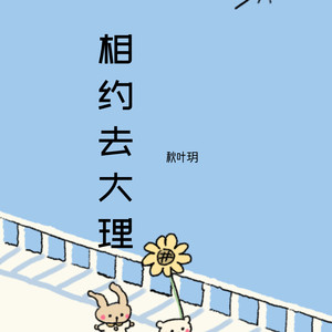 华丽邂逅封面