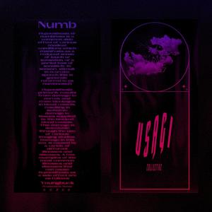 Numb (feat. RØŹÚÚ) [Explicit]