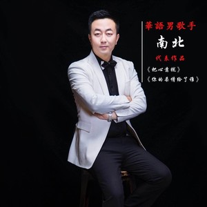 你的柔情给了谁