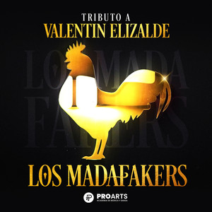 Valentin Elizalde Tributo