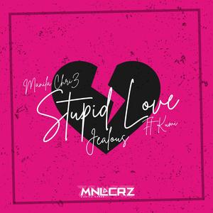 Stupid Love (Jealous) (feat. Kumi)