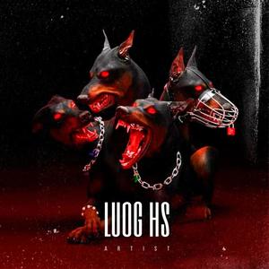 LUOG & HS (Explicit)