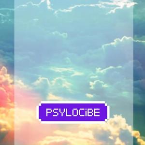 psylocibe