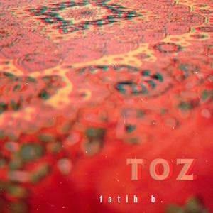 Toz