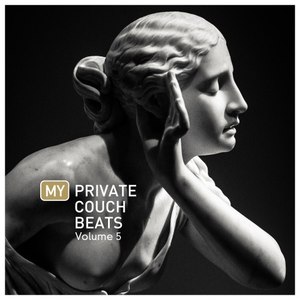 My Private Couch Beats, Vol. 5 (Explicit)