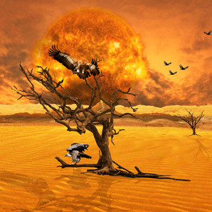 Bowl Pack (Original Mix)