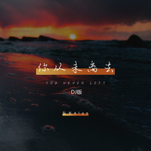 你从未离去 (DJ版)