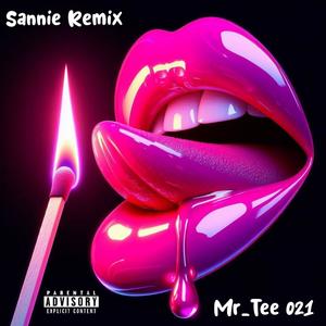 Sannie Remix (Radio Edit)