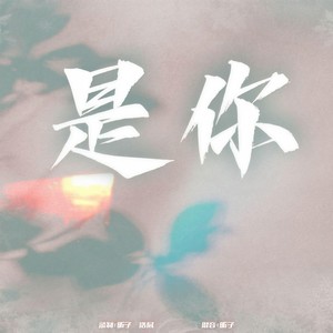 是你 (张靓颖 王赫野版) - 昕子Xinxi;HAOZHAN封面