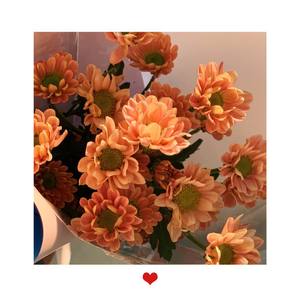 心如止水 (温柔烟嗓版)