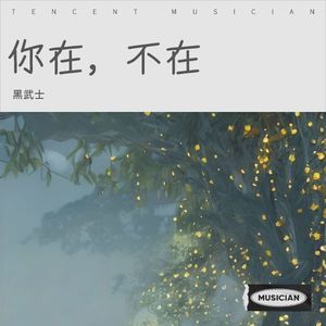 你在，不在
