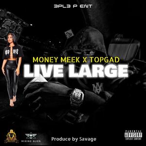 Live Large (feat. TopGad) [Live] [Explicit]