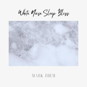 White Noise Zen Station