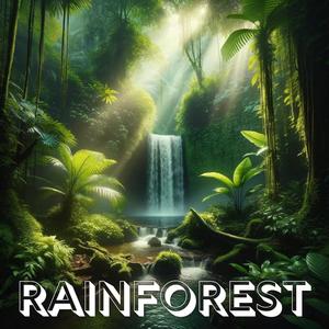 Amazonian Rainforest: Calm Music & Rainforest Ambience for Jungle Dreams