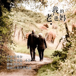 我的老爸妈