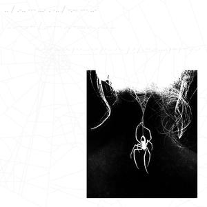 EIGHTLEGS (Explicit)