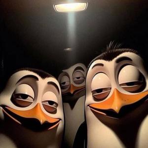 FINOSA ENVOLVENTE 006 (feat. MC GN SHEIK & MC Deninho do CDB) (Explicit)