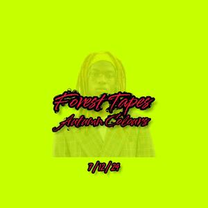 coMPRess (Lam mix|Explicit)