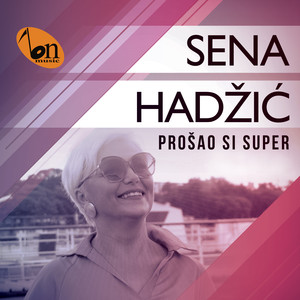 Prosao si super