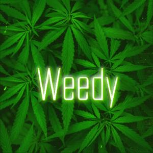 Bobby khane - Weedy(feat. Bktherula, p4rkr & guardin)