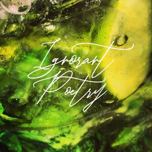 Summer in the City(feat. Evelina)