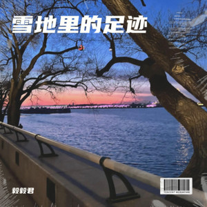 雪地里的足迹 (Live)