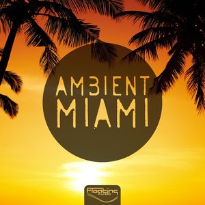 Ambient Miami