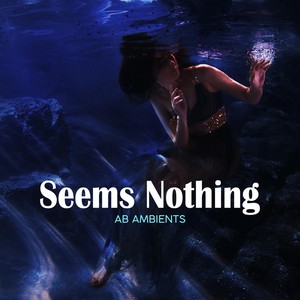 Seems Nothing (Explicit)