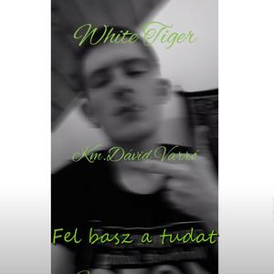 Fel basz a tudat (feat. White Tiger)