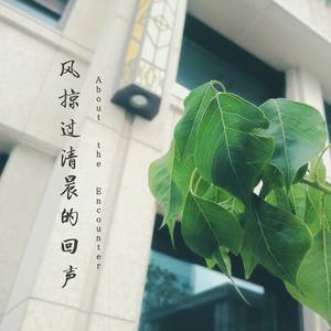 风掠过清晨的回声 (About the Encounter)