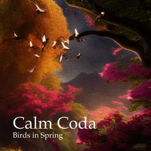 Calm Coda - Wishful Thinking