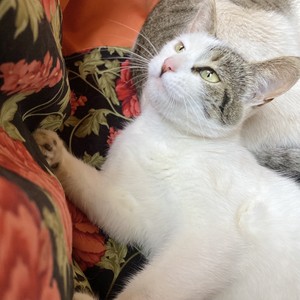 An Ocean of Emotions