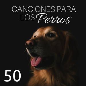 50 Canciones para los Perros: Música Relajante para Perros con los Sonidos de la Naturaleza