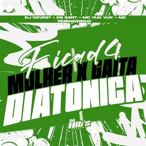 Fica de 4 Mulher x Gaita Diatonica (Explicit)