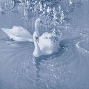 frozen in time (feat. purple demon) (Explicit)