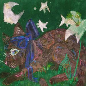 starfox (Explicit)