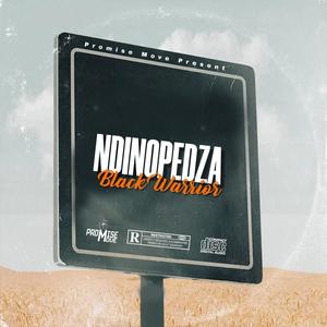Ndinopedza