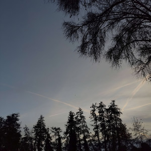 lost skies