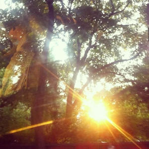 Ki and Qi (Explicit)