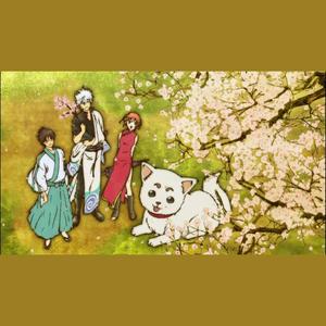 银『Gin』 - 樱音