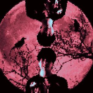 Project 222 (Explicit)