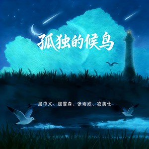 孤独的候鸟